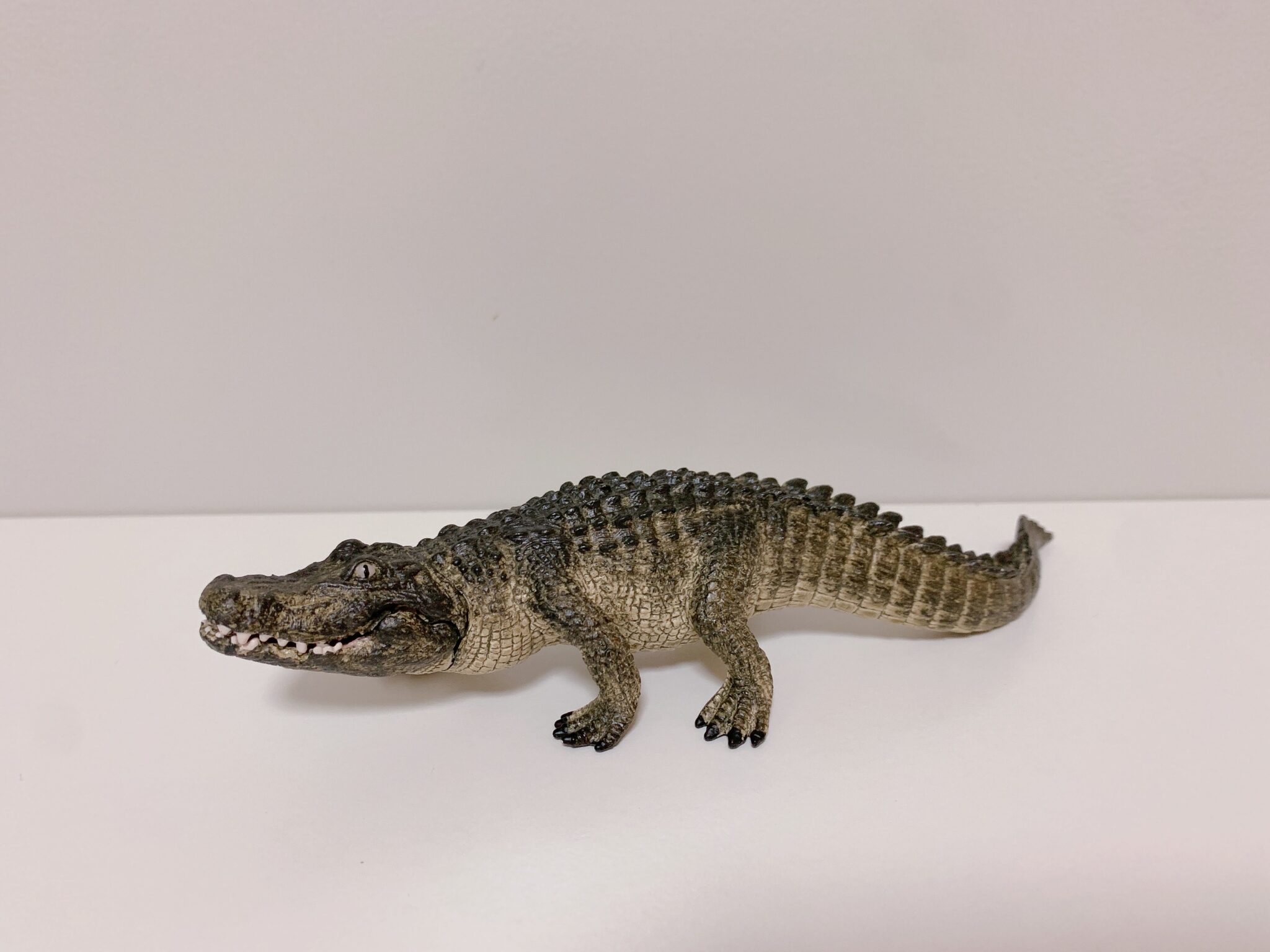 【ガルパン】逸見エリカさんにワニを見せてみた