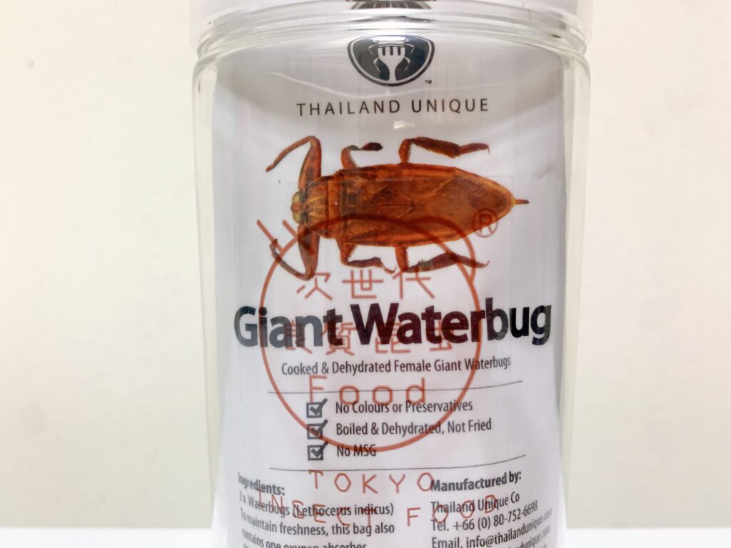 ゴキブリ(食用) - 虫類用品