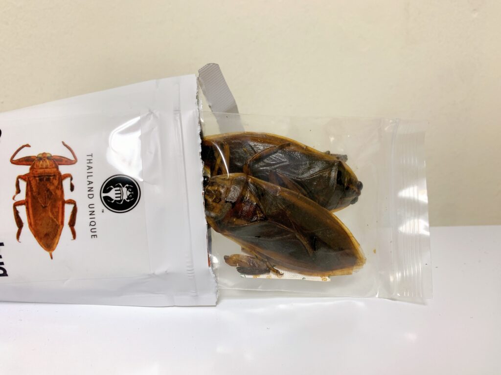 サンシャイン水族館にある昆虫食専門の自動販売機で買った食用タガメをレビュー