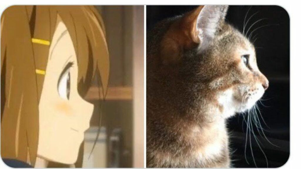 「日本のアニメなのに日本人に見えない」「アニメキャラは白人がモデルだ」と海外では言われているそうですが、アニメキャラの顔は猫の顔のバランスをモデルにしている「アニメキャラ猫説」があるので、その理由と猫説の歴史と『けいおん！』以降を紹介。