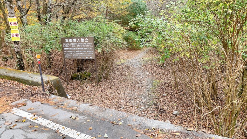 浩庵テント村（第2キャンプ場）は予約が取りやすく、紅葉が映える林間サイトが魅力のおすすめの超穴場。歩けば本栖湖にもアクセス可能だが、ゆるキャン△の聖地・浩庵キャンプ場とは違い富士山や本栖湖は見れない。冬季の閉鎖やたぬきの多さがデメリット。