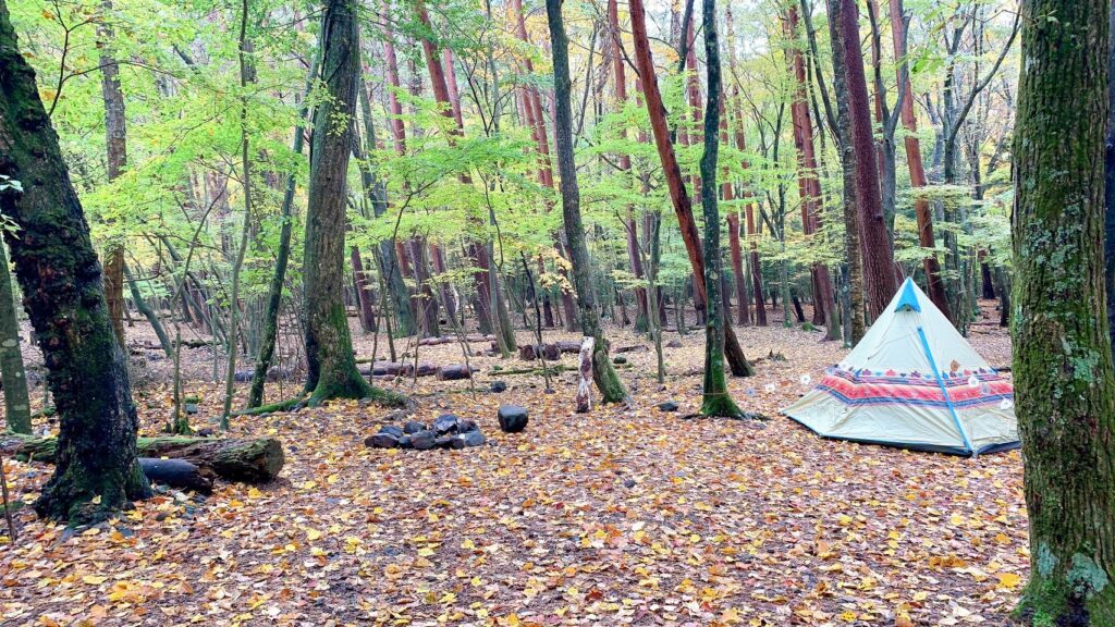 浩庵テント村（第2キャンプ場）は予約が取りやすく、紅葉が映える林間サイトが魅力のおすすめの超穴場。歩けば本栖湖にもアクセス可能だが、ゆるキャン△の聖地・浩庵キャンプ場とは違い富士山や本栖湖は見れない。冬季の閉鎖やたぬきの多さがデメリット。