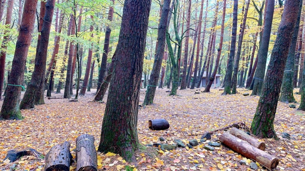 浩庵テント村（第2キャンプ場）は予約が取りやすく、紅葉が映える林間サイトが魅力のおすすめの超穴場。歩けば本栖湖にもアクセス可能だが、ゆるキャン△の聖地・浩庵キャンプ場とは違い富士山や本栖湖は見れない。冬季の閉鎖やたぬきの多さがデメリット。