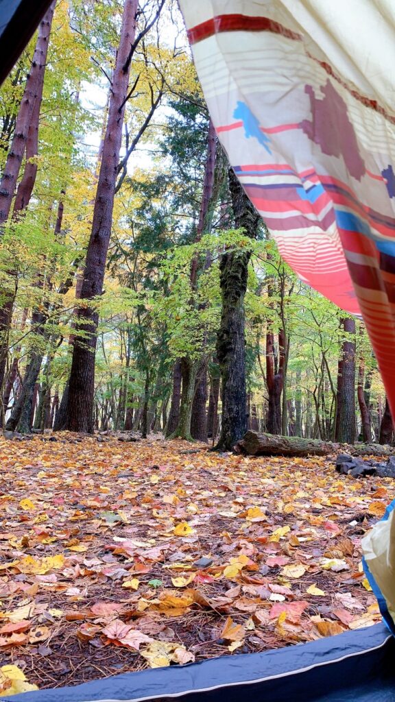 浩庵テント村（第2キャンプ場）は予約が取りやすく、紅葉が映える林間サイトが魅力のおすすめの超穴場。歩けば本栖湖にもアクセス可能だが、ゆるキャン△の聖地・浩庵キャンプ場とは違い富士山や本栖湖は見れない。冬季の閉鎖やたぬきの多さがデメリット。