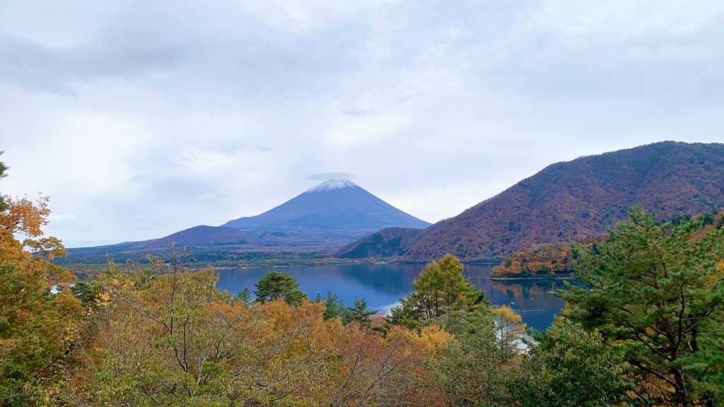 浩庵テント村（第2キャンプ場）は予約が取りやすく、紅葉が映える林間サイトが魅力のおすすめの超穴場。歩けば本栖湖にもアクセス可能だが、ゆるキャン△の聖地・浩庵キャンプ場とは違い富士山や本栖湖は見れない。冬季の閉鎖やたぬきの多さがデメリット。